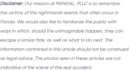 Disclaimer - MANGAL, PLLC
